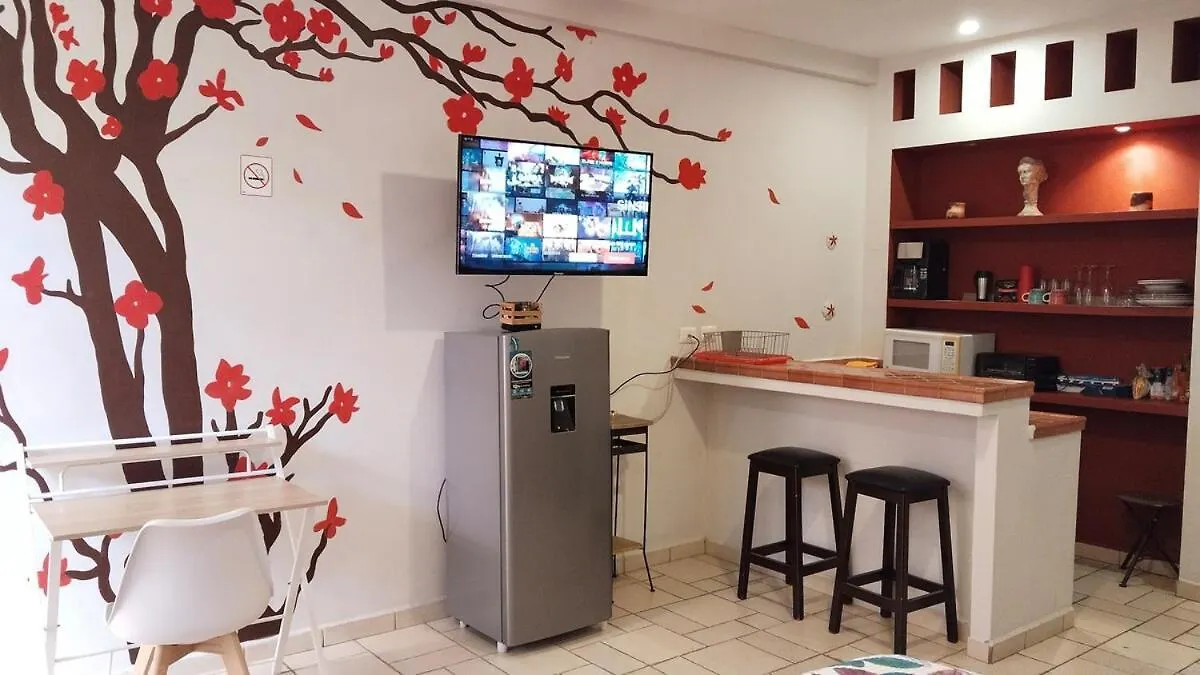 Studio In The Heart Of Кабо-Сан-Лукас Апартаменты