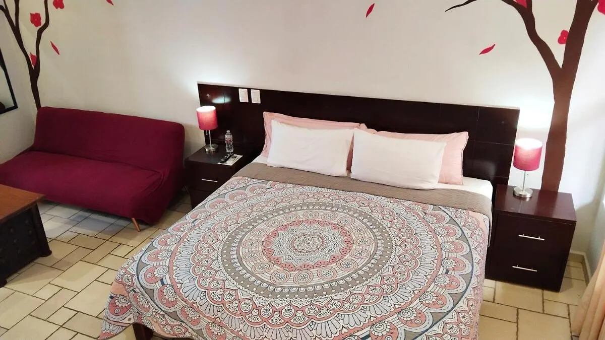 Studio In The Heart Of Кабо-Сан-Лукас Мексика