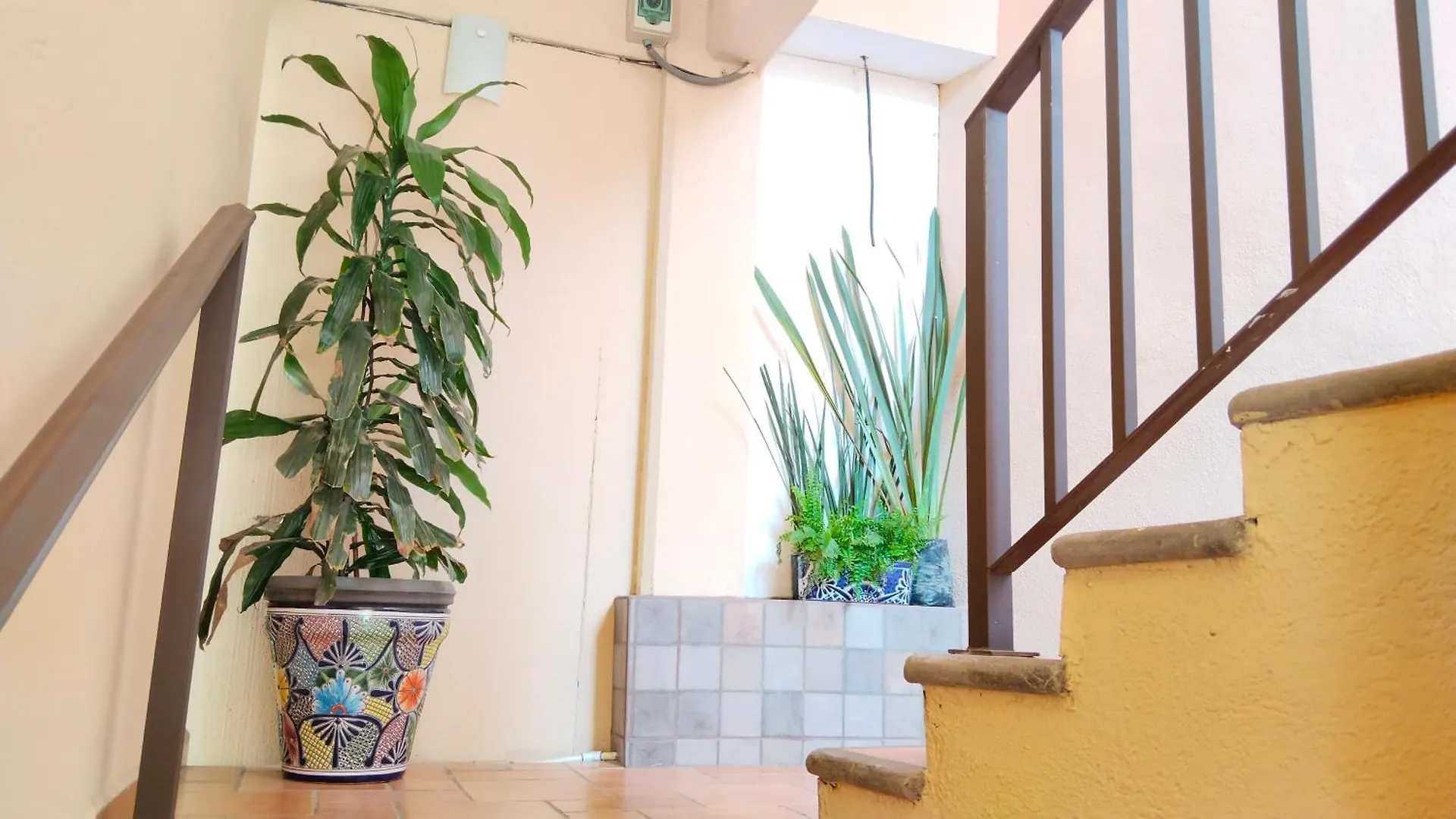 Studio In The Heart Of Кабо-Сан-Лукас Апартаменты