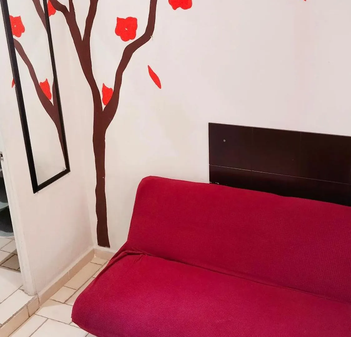 Studio In The Heart Of Кабо-Сан-Лукас 0*,  Мексика