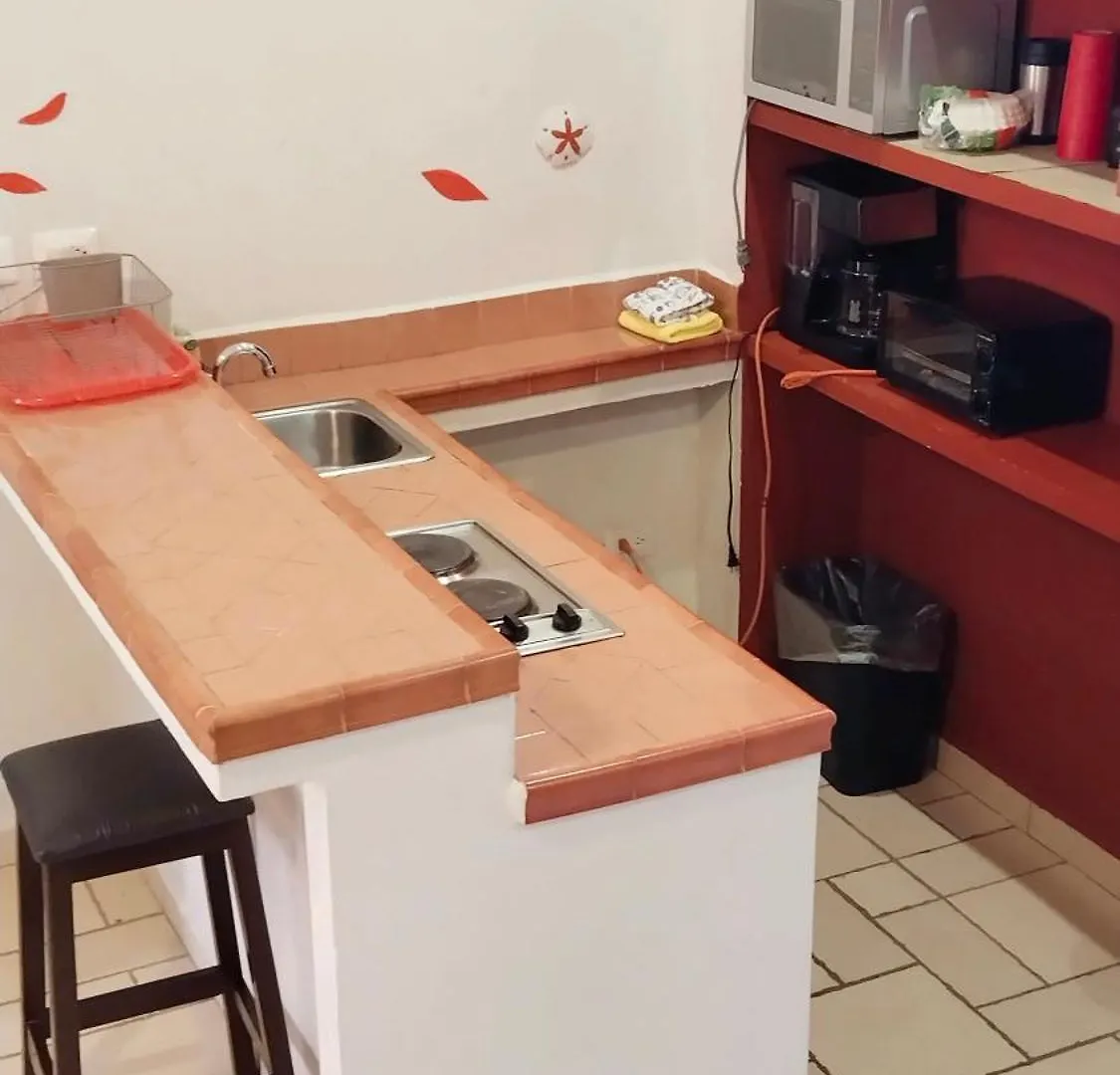 Studio In The Heart Of Кабо-Сан-Лукас