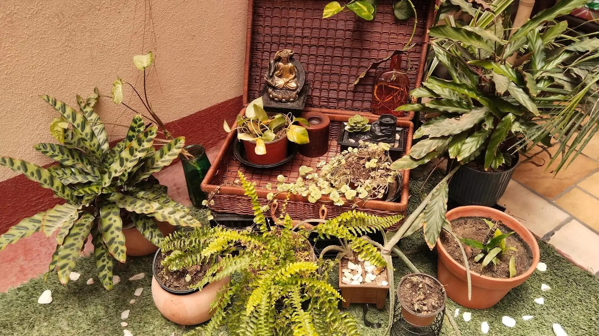 Studio In The Heart Of Кабо-Сан-Лукас 0*,  Мексика