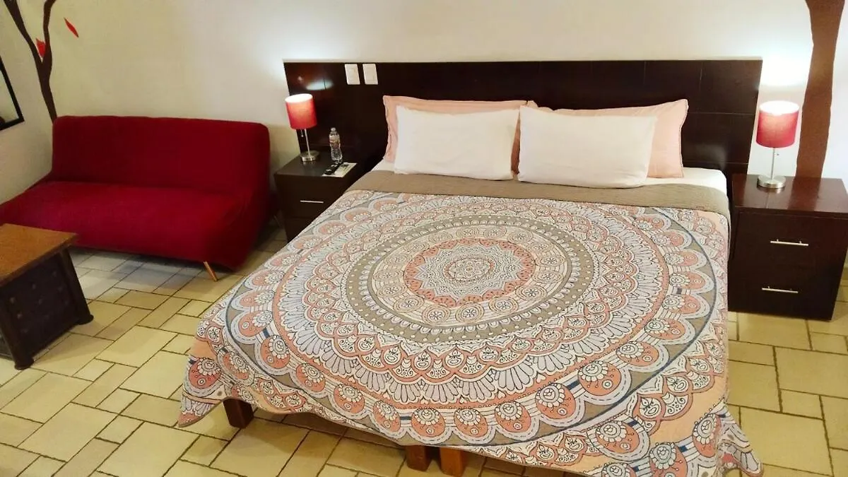 Studio In The Heart Of Cabo San Lucas