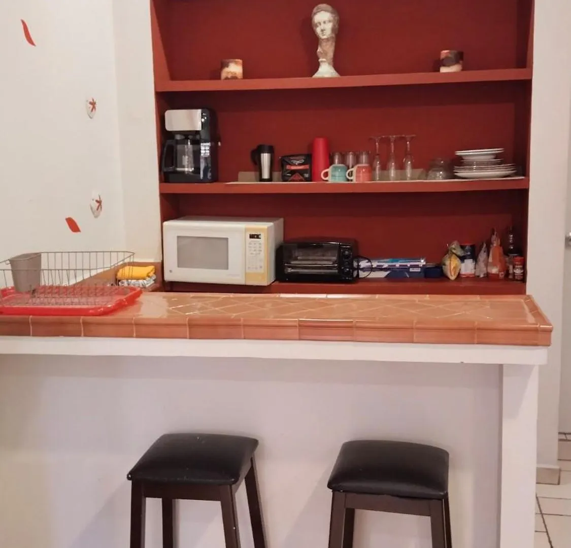 Studio In The Heart Of Cabo San Lucas 0*,