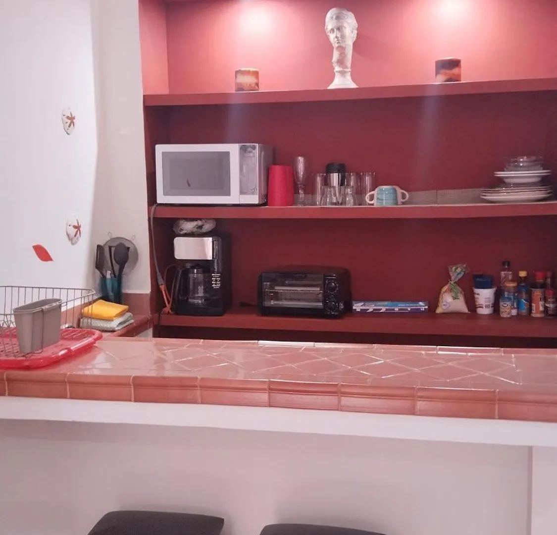 Daire Studio In The Heart Of Cabo San Lucas Meksika