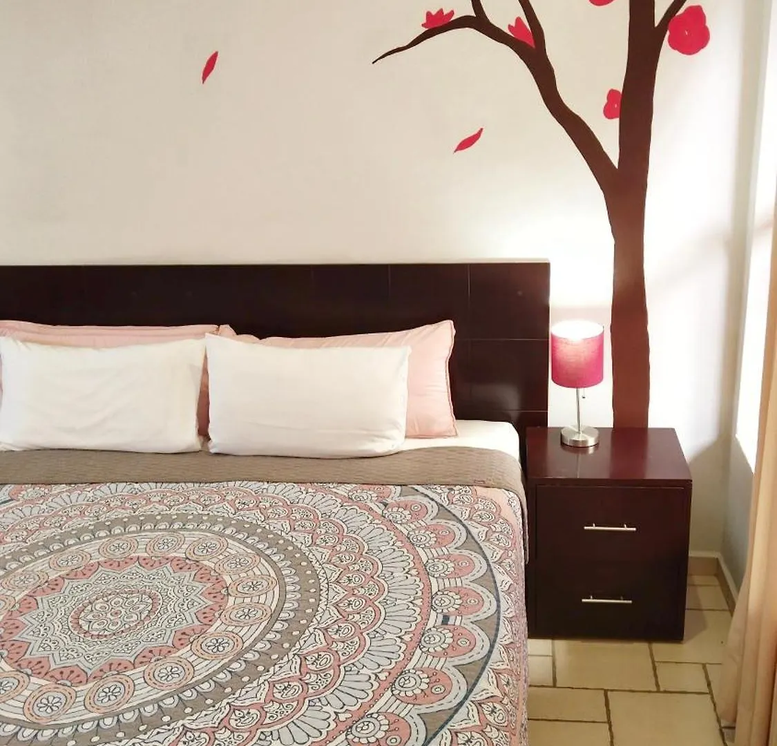 Daire Studio In The Heart Of Cabo San Lucas